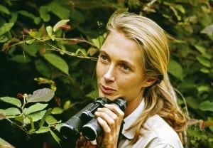 Jane Goodall